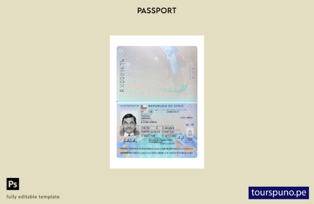 Listo para imprimir la plantilla actual del pasaporte de Chile.